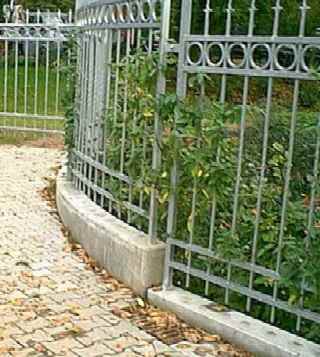 ... nach dem Pflastern und Pflanzen