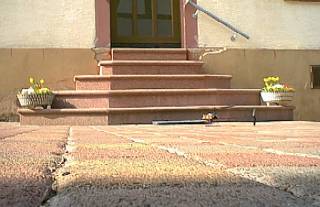 ....ist auch schon gemacht!