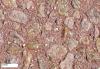 Granit rot 5-8/vb/3,5